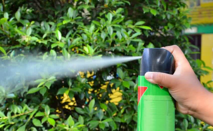 Aerosol Pesticide Sprayer Filling Solution